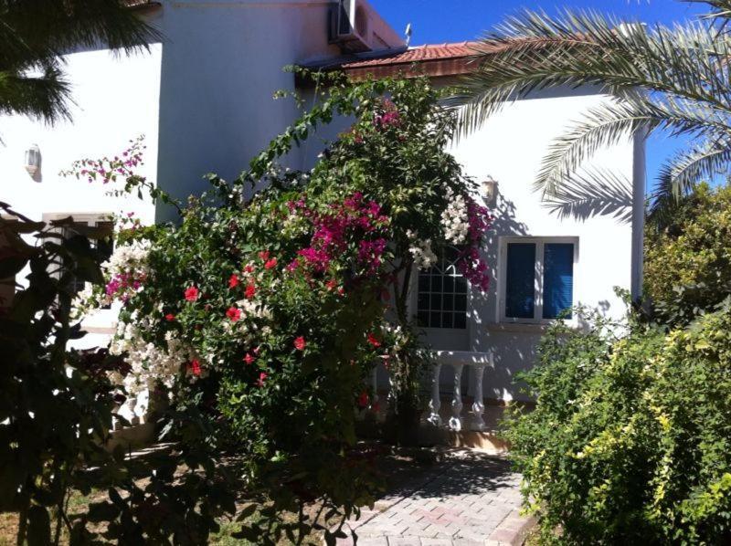 The Prince Inn Hotel & Villas Agios Georgios  Exterior foto