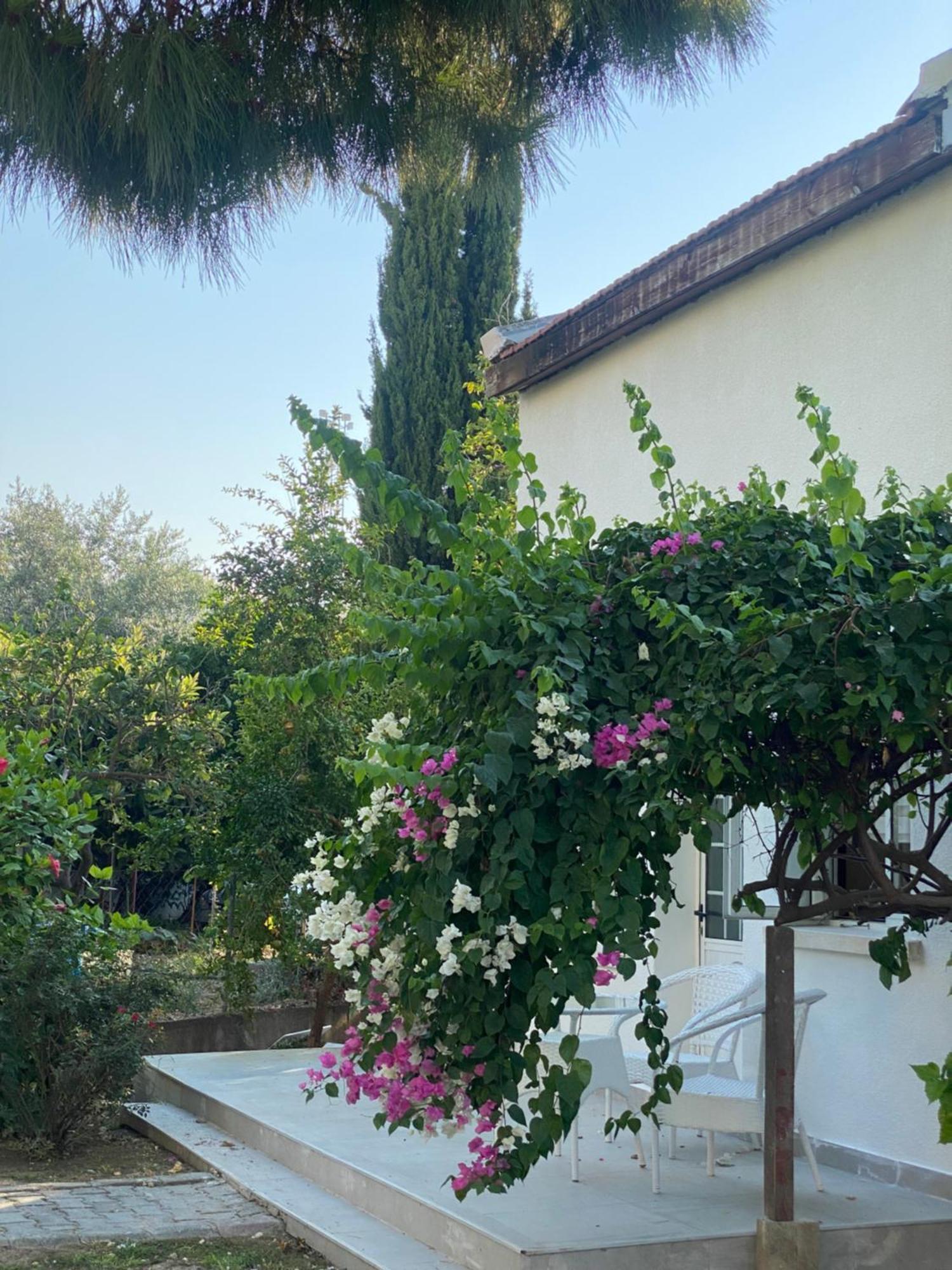 The Prince Inn Hotel & Villas Agios Georgios  Exterior foto